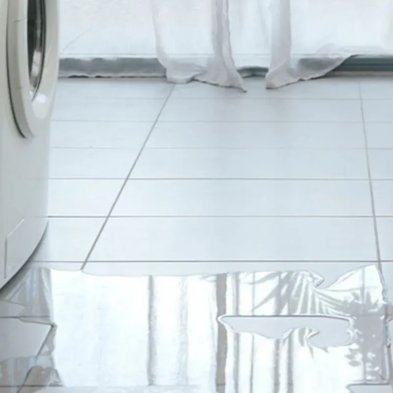 Appliance Leak Cleanup in Hudson, WI