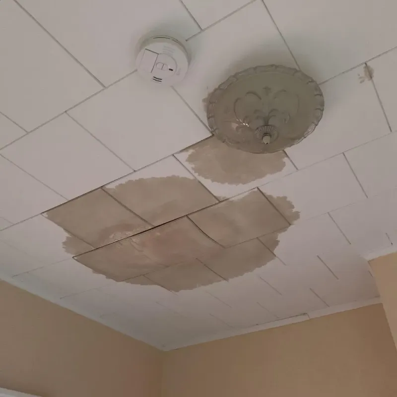Ceiling Water Damage Repair in Hudson, WI
