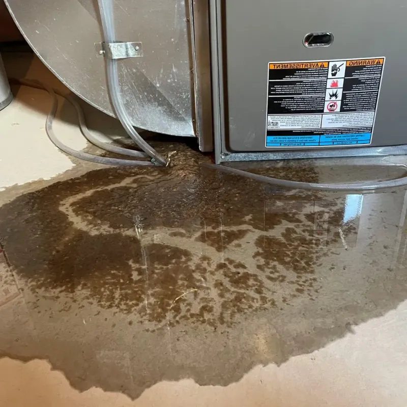 Pipe Burst and Leak Restoration in Hudson, WI